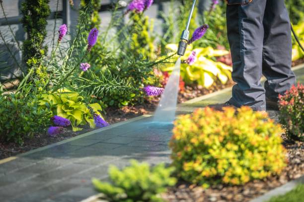 Best Restaurant Pressure Washing  in Clifton Gardens, NY